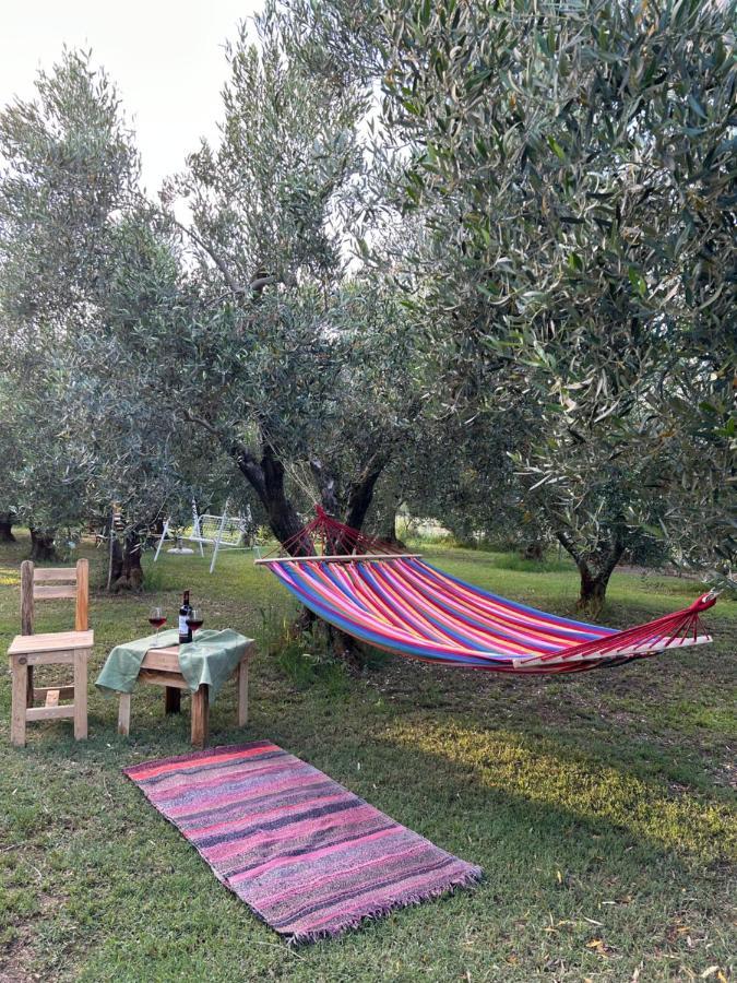 Green Olive Studios 2 Айос-Мамас Экстерьер фото